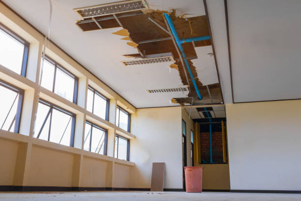 Best Sewage cleanup and water damage restoration  in Hayden, ID