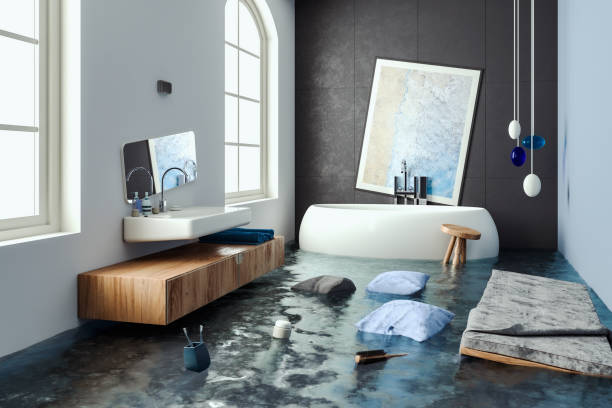 Best Water damage mitigation services  in Hayden, ID