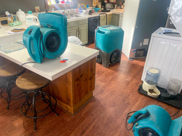 Best Water damage restoration near me  in Hayden, ID