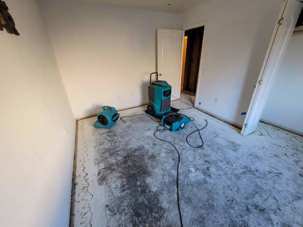 Best Flood damage cleanup  in Hayden, ID