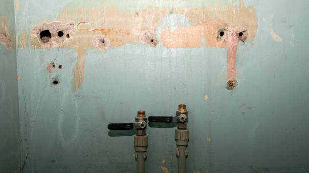Trusted Hayden, ID Water damage restoration Experts
