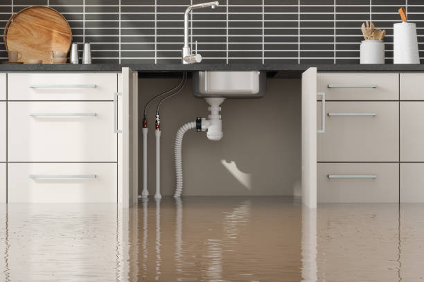 Best Commercial water damage restoration  in Hayden, ID